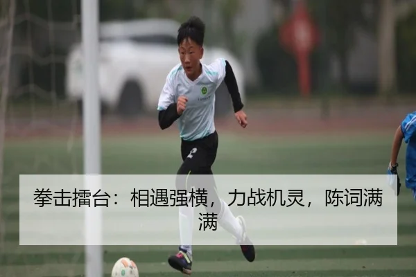 拳击擂台：相遇强横，力战机灵，陈词满满 - nangongsports